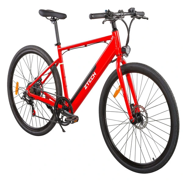 Agymotoros kerékpár